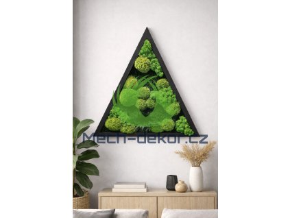 Trojuhelník černý