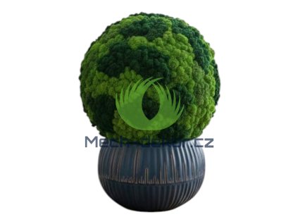 Mechová koule mix sobího mechu 35cm