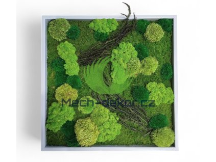 Screenshot 2026 01 14 11 49 57 207 com.photoroom.app edit