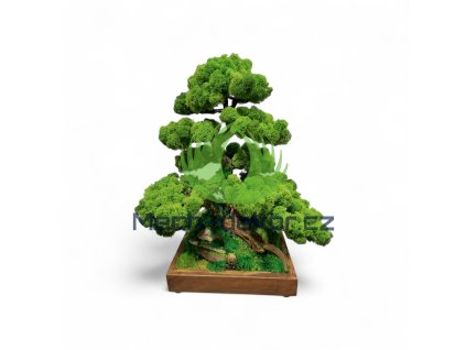 Photoroom 20260120 134213