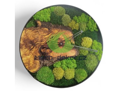 Mechové hodiny průměr 40cm - Olivové dřevo mix stabilizovaných mechů