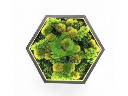 Screenshot 2026 02 16 13 02 02 145 com.photoroom.app edit