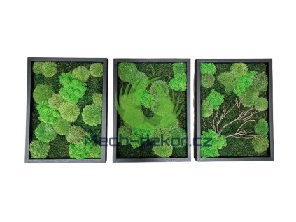 Screenshot 2026 02 25 10 12 46 862 com.photoroom.app edit