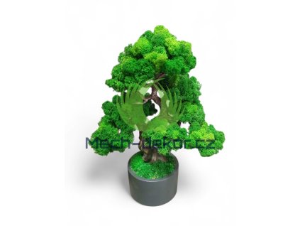 Screenshot 2026 03 13 11 19 29 735 com.photoroom.app edit