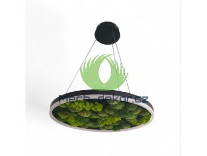 Screenshot 2026 04 17 16 55 20 908 com.photoroom.app edit