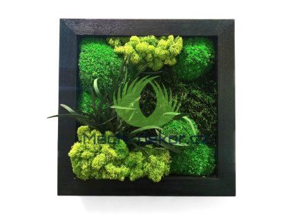 Obraz 30x30cm satin