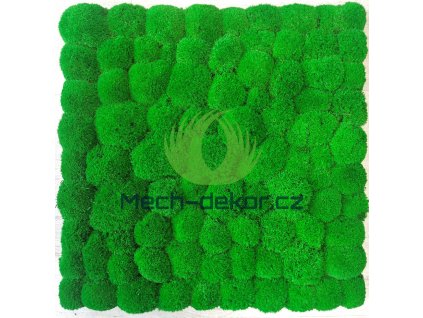 Nástěnný panel 50x50cm Kopečkový mech (světle zelený)