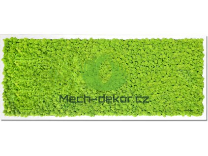 Mechový obraz 136x56cm sobí mech bílý tenký rám