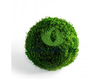 Mechová koule plochý mech