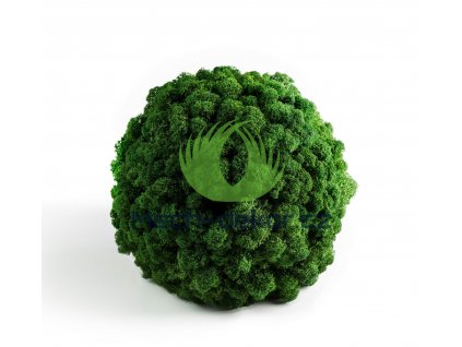 Mechová koule s finským sobím mechem v barvě Leaf green