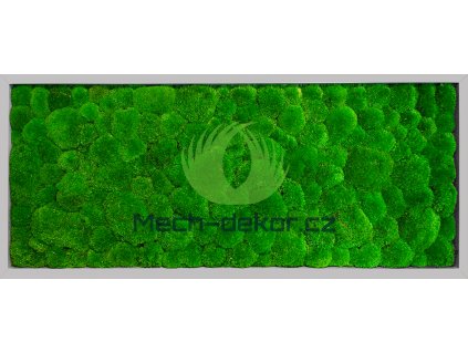 Mechový obraz 136x56cm šedý tenký rám kopec