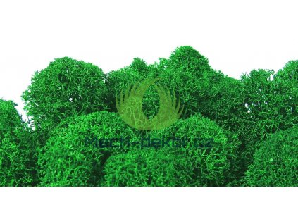Polarmoss Finský Sobí Mech - Apple Medium Green
