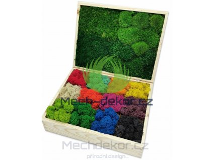 Vzorník mechů Mechdekor
