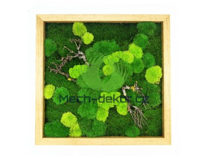 Mechový obraz 56x56 cm dubový tenký rám s mixem mechů a dřevinami