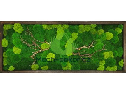 Mechový obraz 80 x 200cm kombinace mechů - tmavý dubový rám