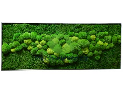 Mechový obraz hliník 136x56cm