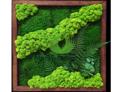 Mechový obraz 56x56 cm tmavý dubový tenký rám - mix + rostliny