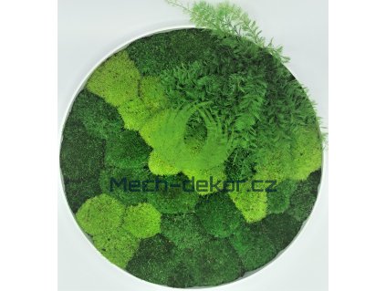 Mechový obraz kulatý bílý kovový 40cm mix mechů se stabilizovanými rostlinami