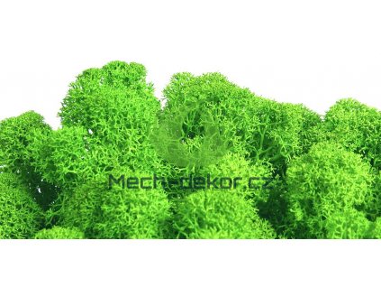 Polarmoss Finský Sobí Mech - jarní zelená