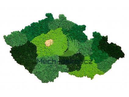 Mechová mapa ČR sobí mech