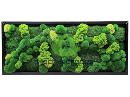 mechový obraz Mix mechů multigreen – 136x56cm černý dřevěný tenký rám