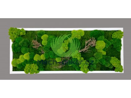 Mechový obraz 136x56cm mix bílý tenký rám