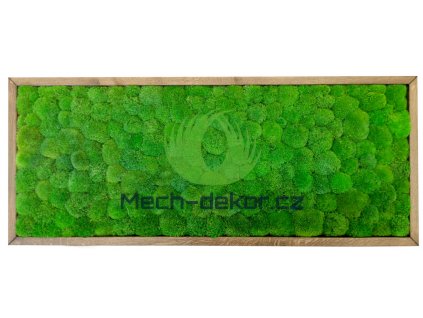 Mechový obraz 136x56cm kopec tmavý dub
