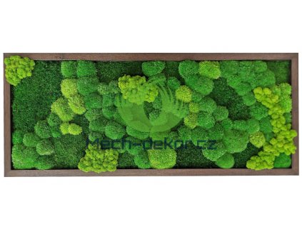 Mechový obraz tmavý dub 136x56cm mix mechů