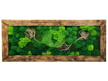 Mechový obraz 136x56cm postařený rám mix