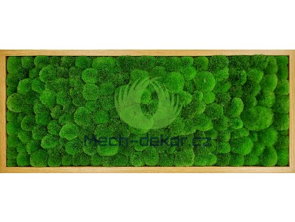 Mechový obraz světlý dub kopec 136x56cm