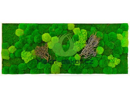 Mechový obraz mix bílý kov