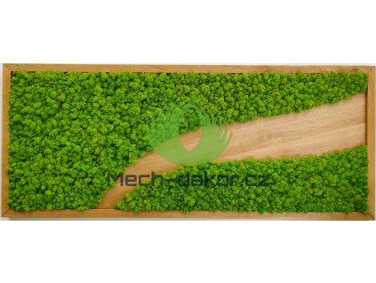 Mechový obraz dubový s vlnou