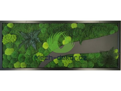 Mechový obraz mix rostliny černá vlna