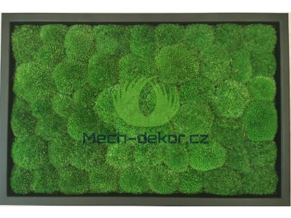 Mechový obraz 60x40cm černý rám