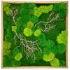 Mechový obraz 56x56 cm dubový tenký rám + mix mechů + dřeviny