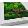 Mechový obraz 30x40cm Mix mechů v dřevěném bílém rámu
