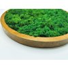 Mechový obraz kulatý v dubovém rámu, se sobím mechem medium green, 45cm