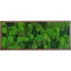 Mechový obraz Mix mechů – 136x56cm tmavý dubový dřevěný tenký rám