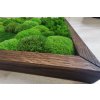 Mechový obraz Mix mechů – 136x56cm tmavý dubový dřevěný tenký rám