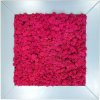 Mechový obraz 56x56cm sobí růžový mech v širokém dřevěném rámu šedé barvy