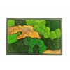 Mechový obraz 60 x 40cm mix mechů s olivou v černém kovovém rámu
