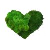 Mechové srdce 34 x 27cm plochý a kopečkový mech