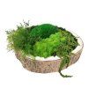 Mechová dekorace s kůrou průměr 29cm