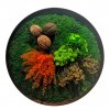 Mechový obraz kulatý dřevěný palisander mix mechů a rostlin 55 cm