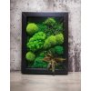 Mechový obraz 30x40cm mix mechů + rostliny v dřevěném černém rámu