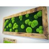 Mechový obraz z masivu 136x56cm (drátkované dřevo) – Plochý +Kopečkový mech