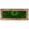 Obraz z masivu 136x56cm (staré dřevo) – Kopečkový mech světlé zelený