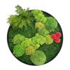 Kulatý obraz 35cm s mixem a rostlinou