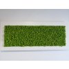 Mechový obraz z masivu 136x56cm široký bílý dřevěný rám – Sobí mech (Spring Green)