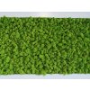 Mechový obraz z masivu 136x56cm široký bílý dřevěný rám – Sobí mech (Spring Green)